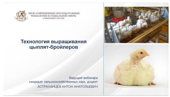 [Антон Астраханцев] Технологии выращивания цыплят-_0.png